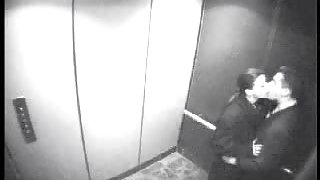Security cam - blow job in an elevator